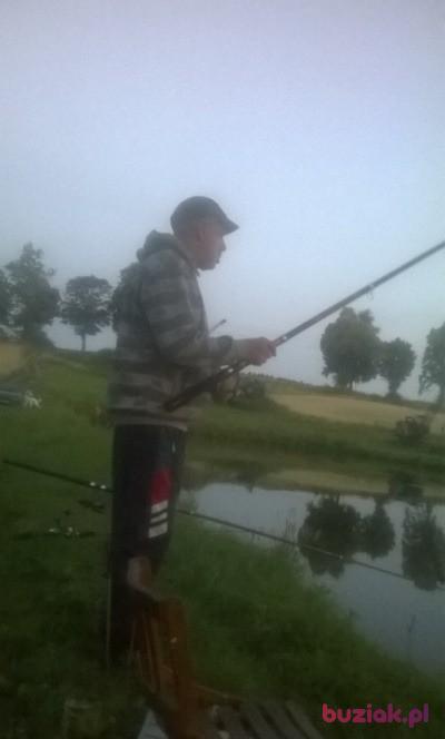 Marek, Male, 68, Bydgoszcz, Polska, Photo: 2