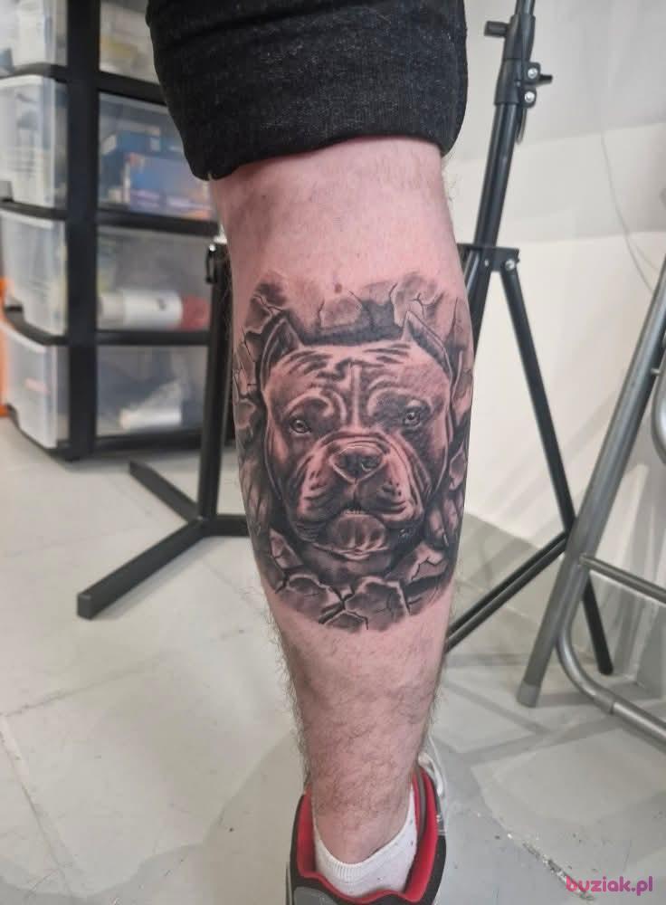Kamil, Mężczyzna, 38, Katowice, Polska, Zdjęcie: 6