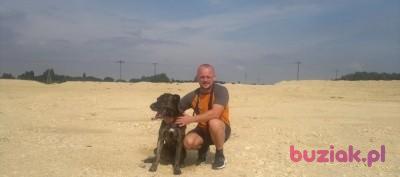 james, Mężczyzna, 48, Doncaster, Wielka Brytania, Zdjęcie: 1