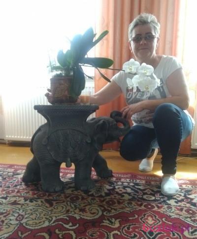 irenafgw, Female, 66, Gorzów Wielkopolski, Polska, Photo: 2