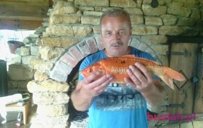 Janek, Male, 65, Chmielnik, Polska, Photo: 5