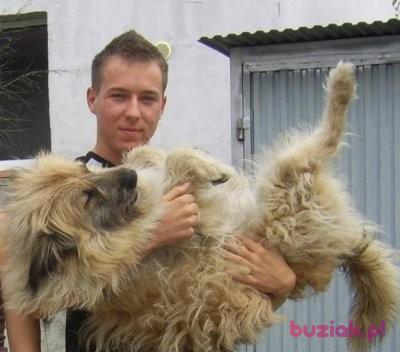 Marek, Male, 37, Birmingham, Wielka Brytania, Photo: 2