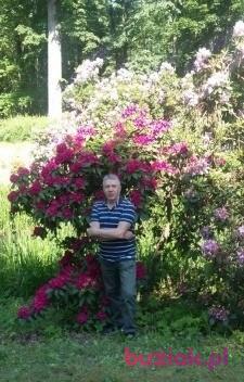 wszystkie, Mężczyzna, 70, Kraków, Polska, Zdjęcie: 4