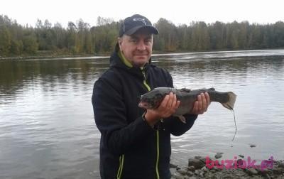 Jarek, Male, 63, Konin, Polska, Photo: 2
