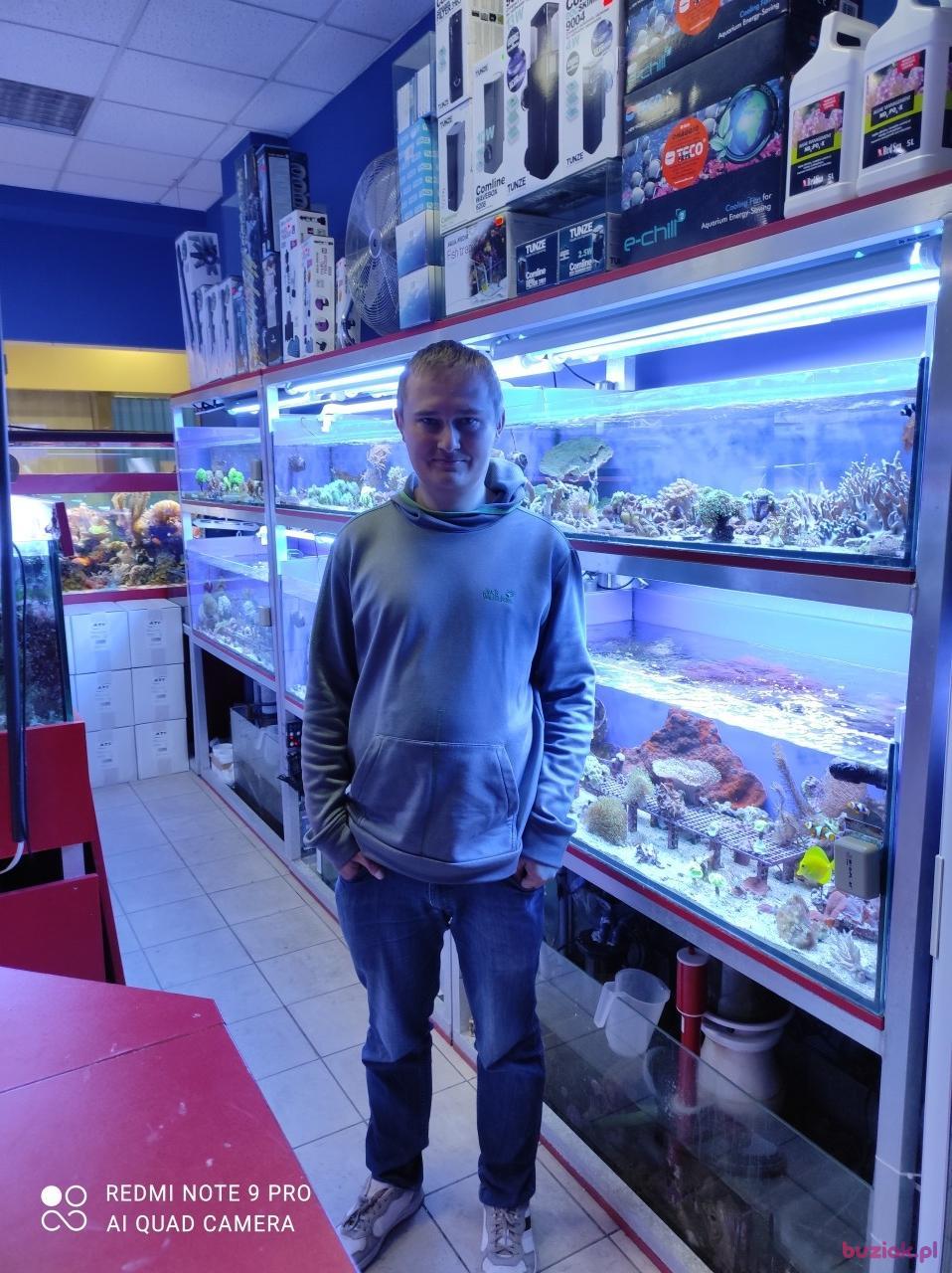 Michał, Mężczyzna, 37, Zgierz, Polska, Zdjęcie: 64