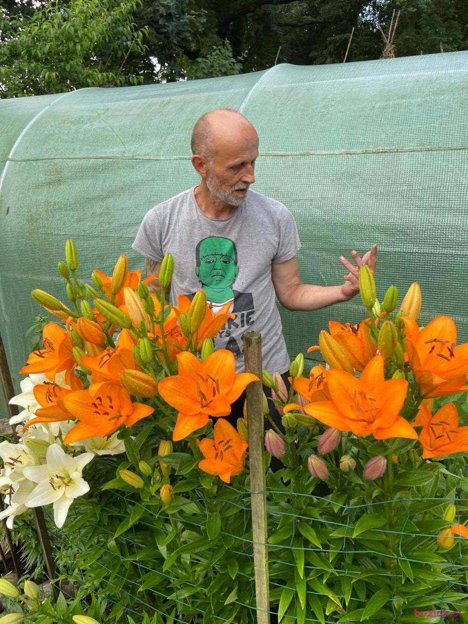 Janek, Mężczyzna, 63, Głogów, Polska, Zdjęcie: 9