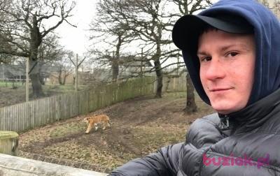 Kamil, Male, 32, Rotherham, Wielka Brytania, Photo: 5