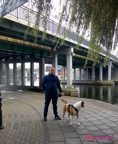 Bogusław, Male, 44, Białystok, Polska, Photo: 1