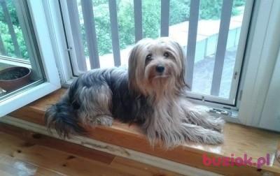 madziarelka34, Female, 45, Koło, Polska, Photo: 5