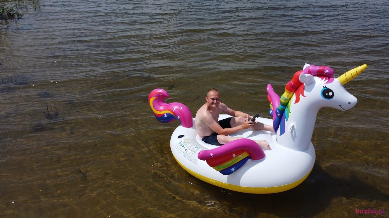 Michał, Mężczyzna, 37, Zgierz, Polska, Zdjęcie: 423