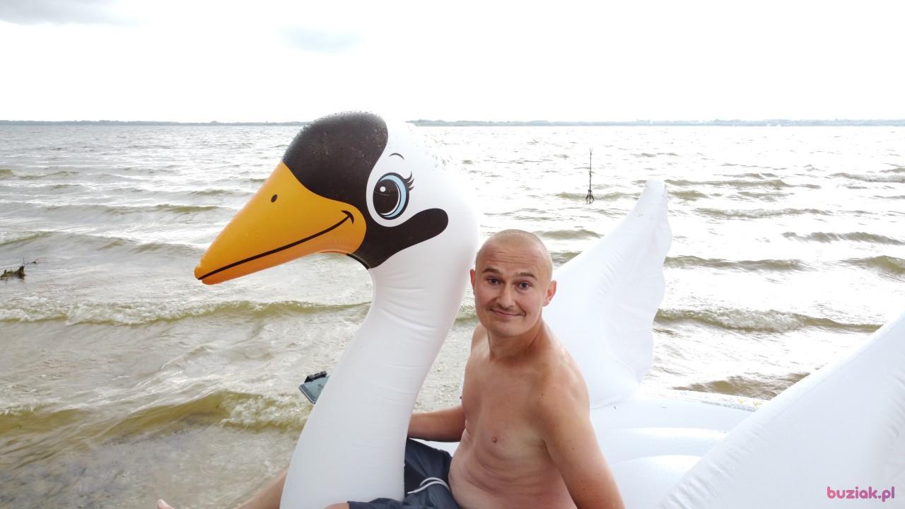 Michał, Mężczyzna, 37, Zgierz, Polska, Zdjęcie: 533