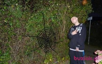 Łukasz, Male, 36, Holandia, Photo: 3