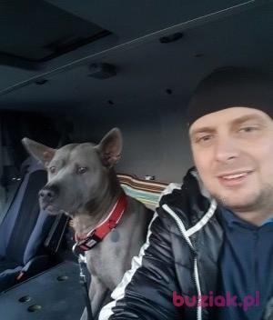 Marcin, Mężczyzna, 41, Poznań, Polska, Zdjęcie: 1