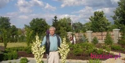RYSZARD, Male, 87, Włocławek, Polska, Photo: 2