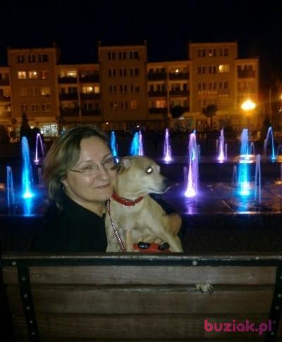 marysia, Female, 74, Polska, Photo: 1