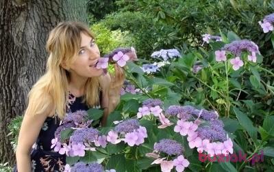 joanita, Kobieta, 45, Warszawa, Polska, Zdjęcie: 2