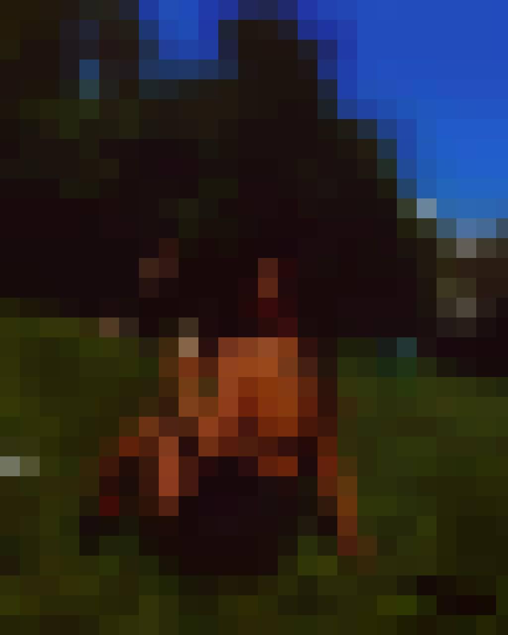 Karolina, Female, 30, Haarlem, Holandia, Photo: 3
