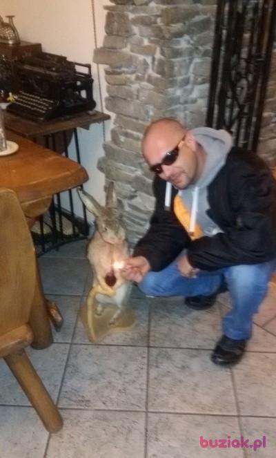 Ari, Mężczyzna, 41, Rotterdam, Holandia, Zdjęcie: 4