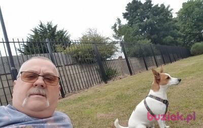 JACEK, Male, 68, Westminster, Wielka Brytania, Photo: 2