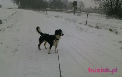 wioletta5, Female, 56, Niemcy, Photo: 5