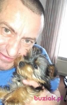 Robert, Mężczyzna, 57, Eindhoven, Holandia, Zdjęcie: 2