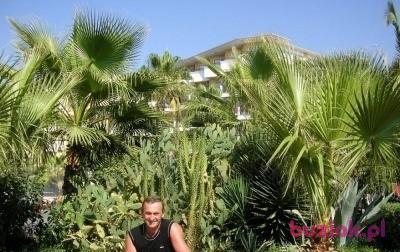 Mieczysław, Mężczyzna, 71, Polska, Zdjęcie: 2