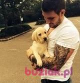 Patryk, Male, 35, Chodzież, Polska, Photo: 1