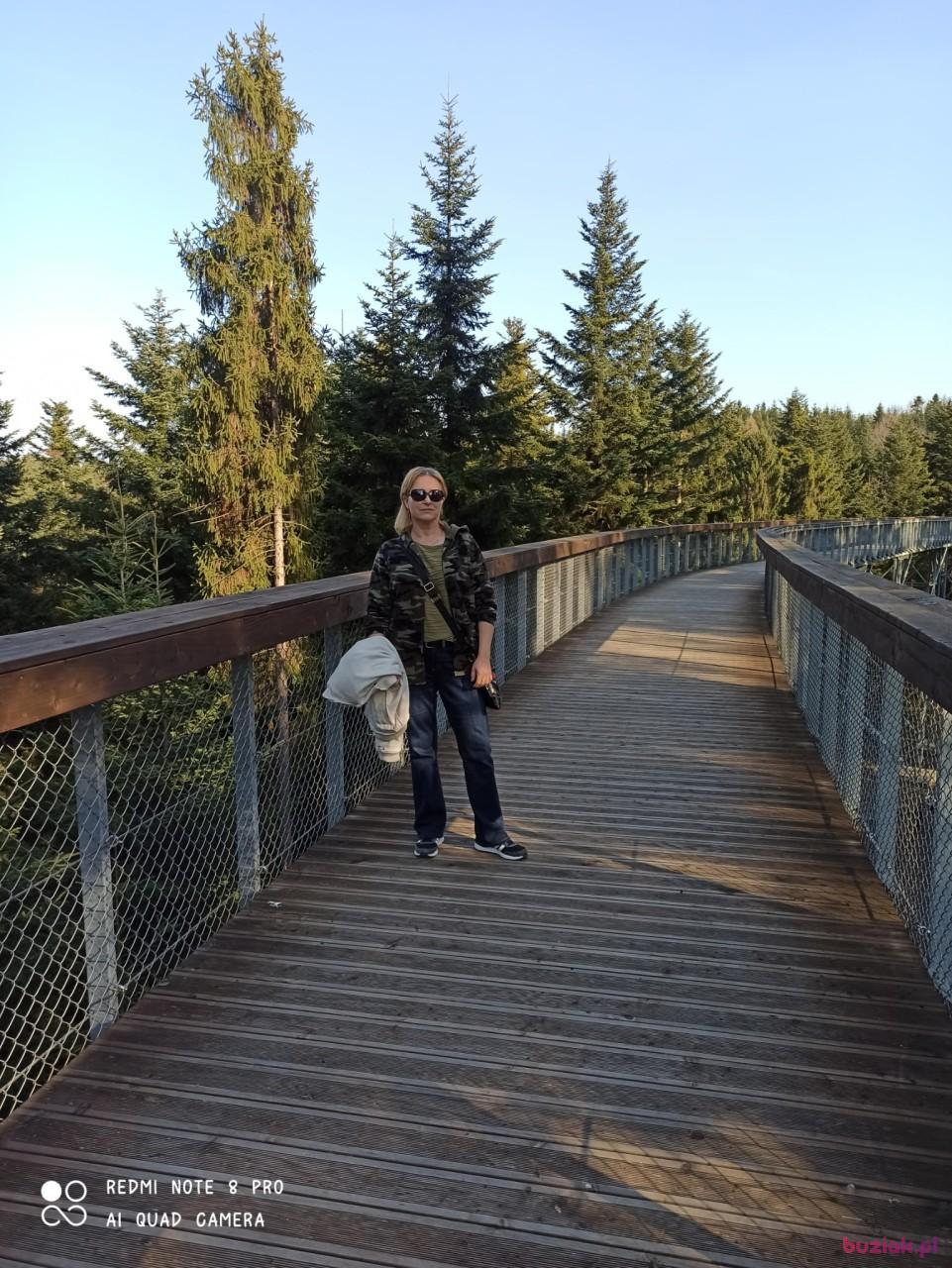 Mariax, Kobieta, 54, Dębica, Polska, Zdjęcie: 2