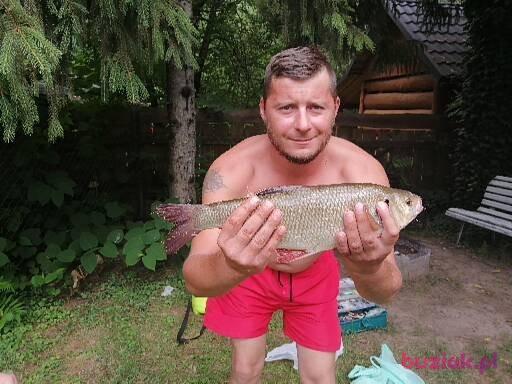ASH, Male, 43, Jarosław, Polska, Photo: 4