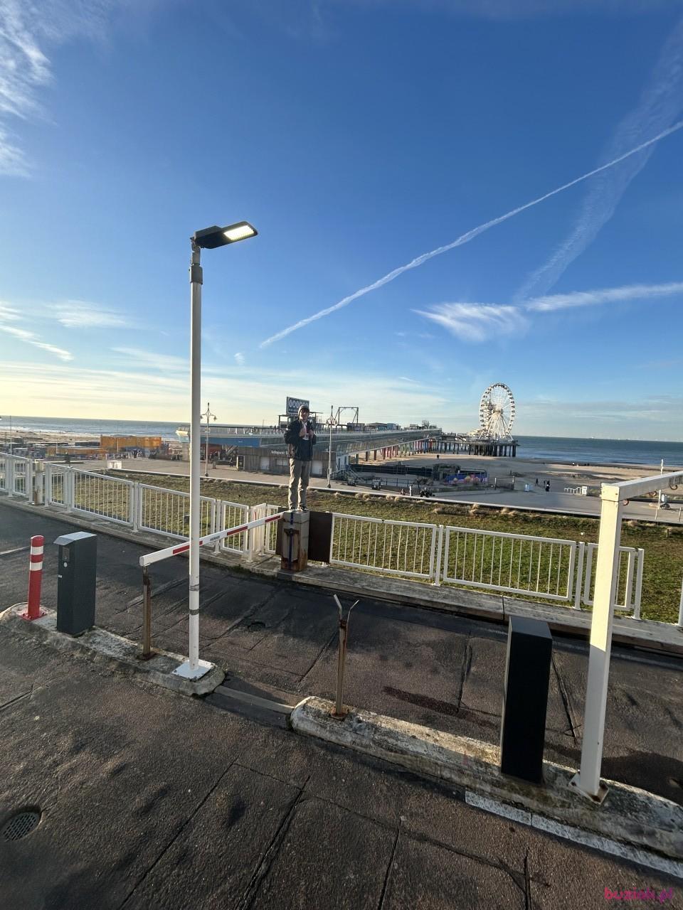 Dami, Male, 20, Rotterdam, Holandia, Photo: 2