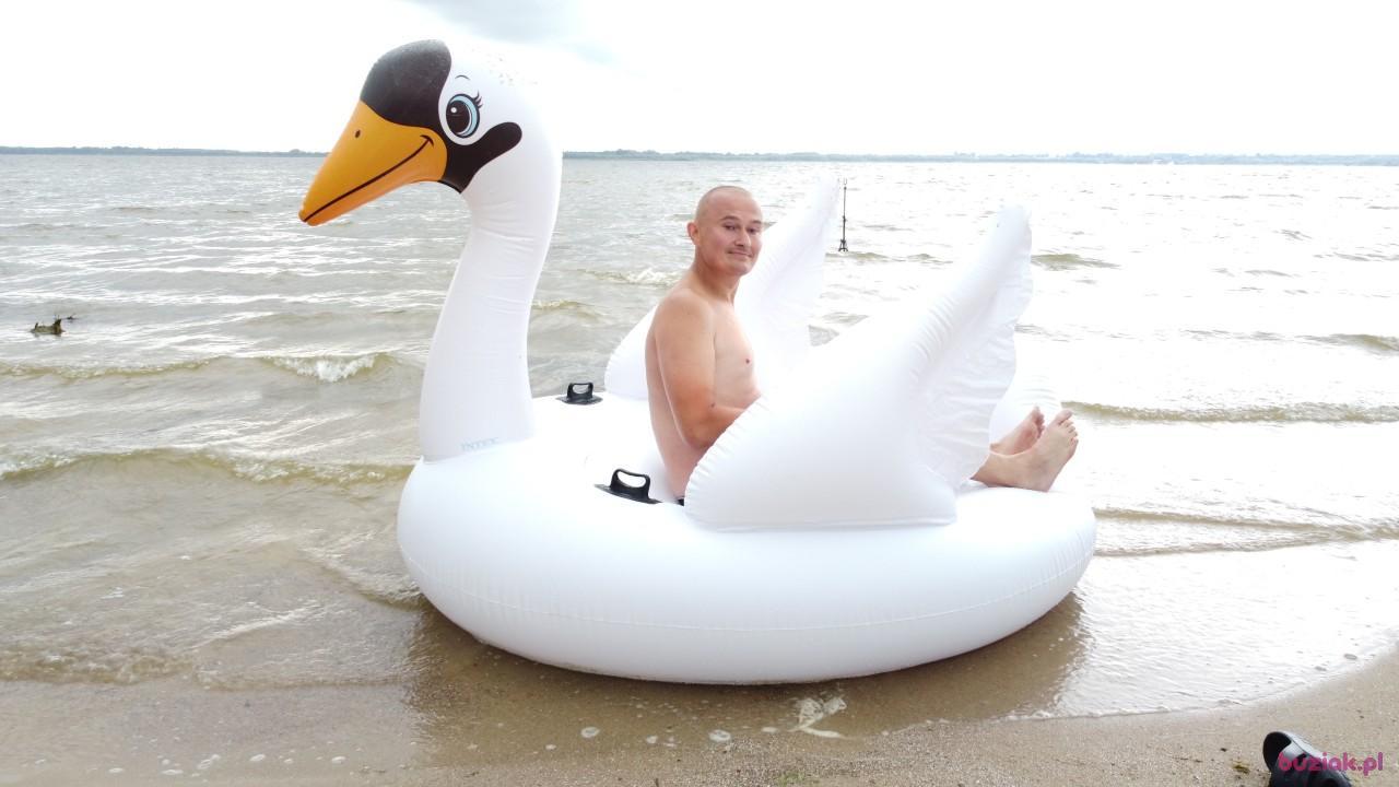 Michał, Mężczyzna, 37, Zgierz, Polska, Zdjęcie: 566