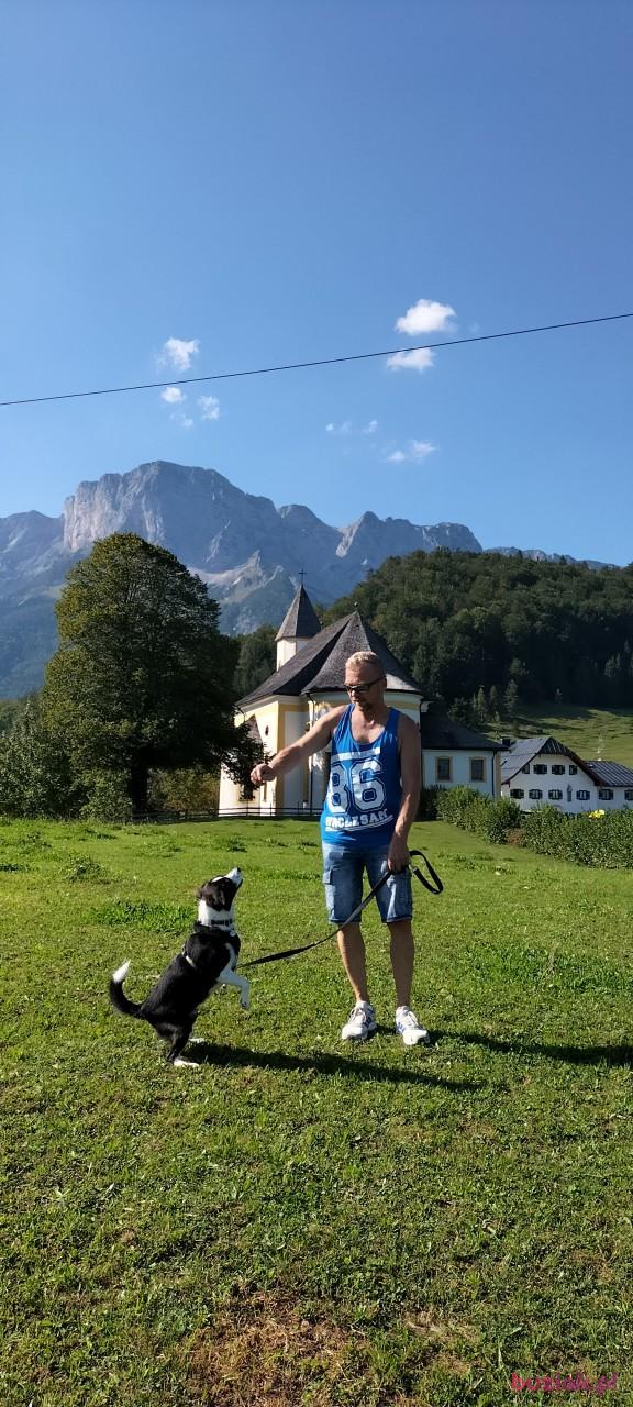 Marek, Male, 60, Sosnowiec, Polska, Photo: 5