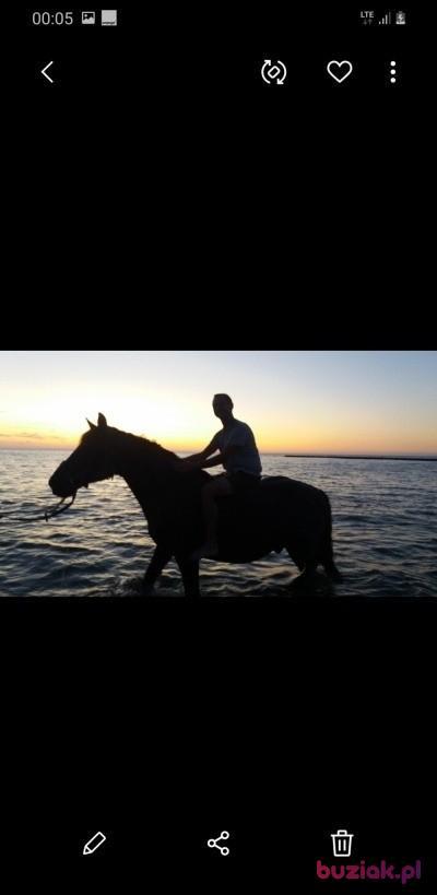 Przemek, Male, 54, Mosina, Polska, Photo: 3