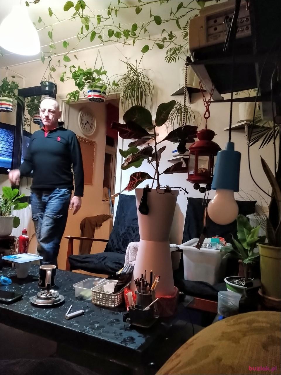 SylwekStr, Male, 45, Croydon, Wielka Brytania, Photo: 2