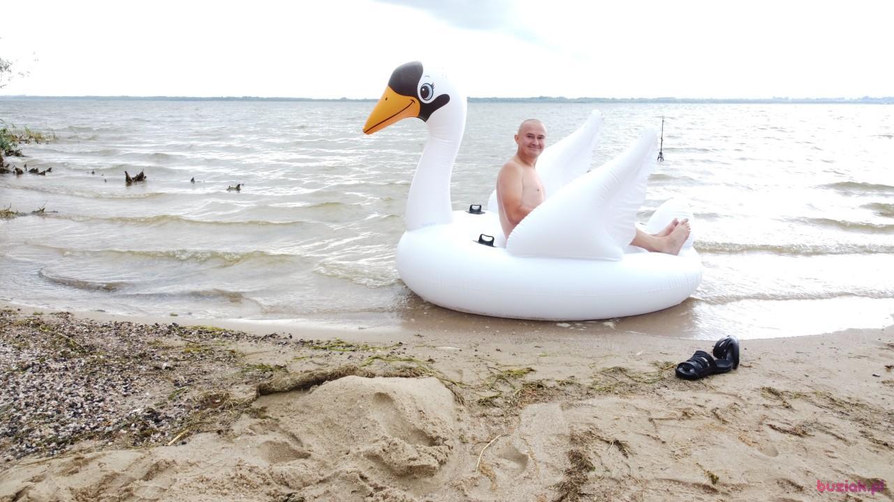 Michał, Mężczyzna, 37, Zgierz, Polska, Zdjęcie: 564