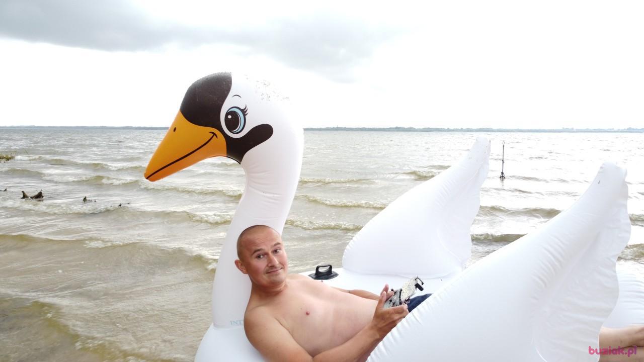 Michał, Mężczyzna, 37, Zgierz, Polska, Zdjęcie: 552