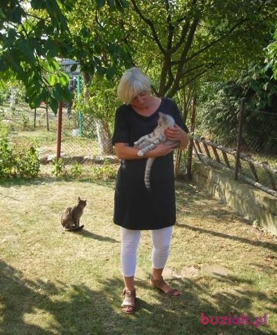 Irena, Kobieta, 69, Gdańsk, Polska, Zdjęcie: 4