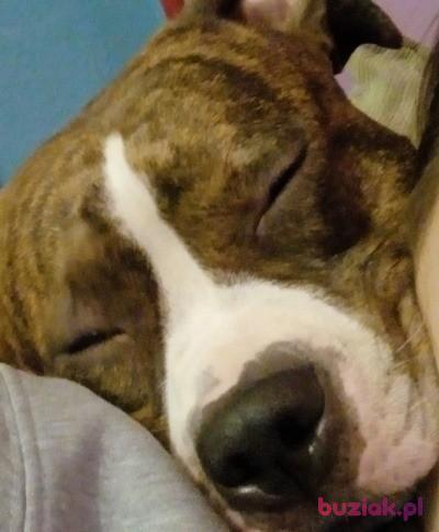 Paula, Kobieta, 33, Łódź, Polska, Zdjęcie: 2