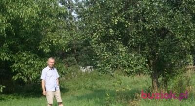 Janusz, Male, 70, Skoczów, Polska, Photo: 2