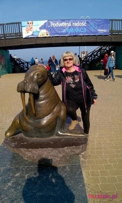 Jolanta, Kobieta, 70, Pabianice, Polska, Zdjęcie: 4