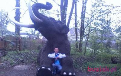 mlody1979, Male, 47, Witnica, Polska, Photo: 3