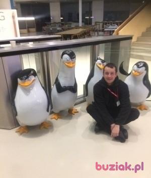 Maciej , Male, 36, Wielka Brytania, Photo: 3