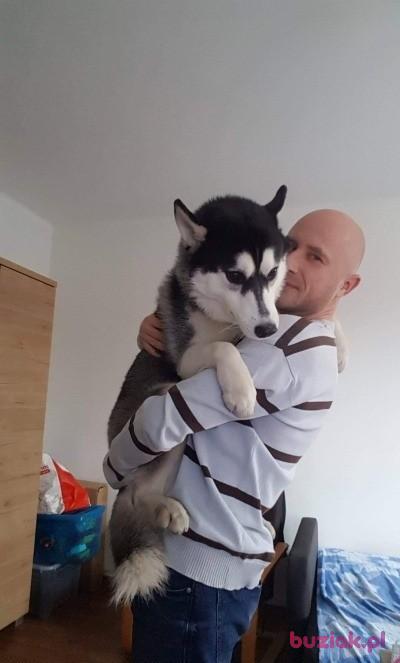 Wilczek81, Mężczyzna, 44, Katowice, Polska, Zdjęcie: 5