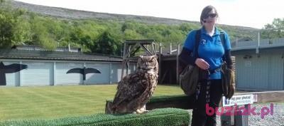 Andrzej, Male, 35, Norwich, Wielka Brytania, Photo: 5