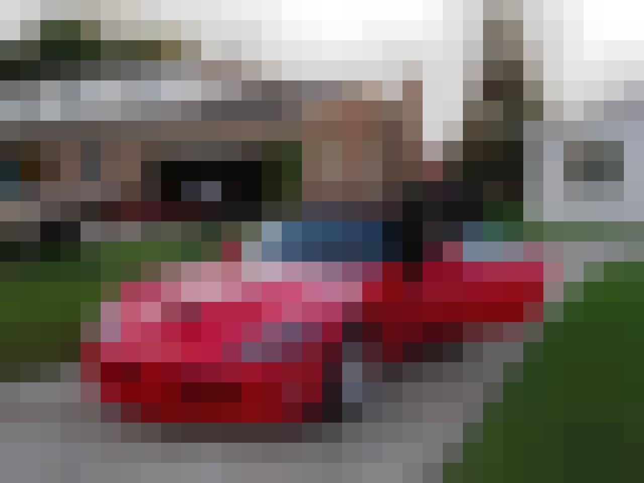 Rich/Ryszard, Male, 70, Wrocław, Polska, Photo: 4