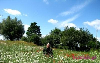 zdzisław, Mężczyzna, 80, Głogów, Polska, Zdjęcie: 1
