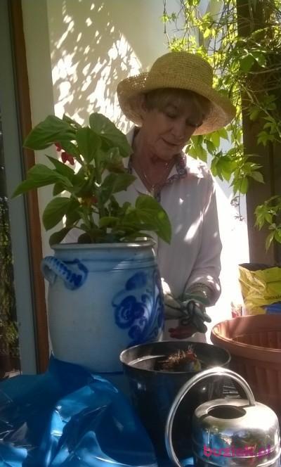 Beata, Female, 63, Kościerzyna, Polska, Photo: 1