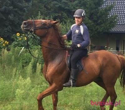 Lech, Male, 57, Mława, Polska, Photo: 5