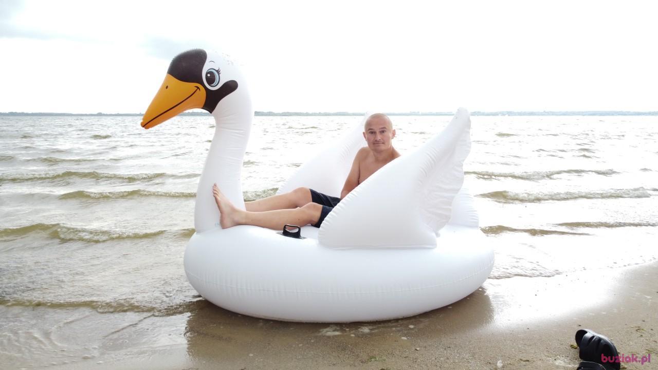 Michał, Mężczyzna, 37, Zgierz, Polska, Zdjęcie: 538