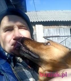Grzegrz, Male, 64, Kock, Polska, Photo: 2